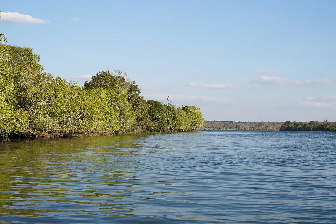 Calm Kafue River lined with green riverine forest in Kafue National Park
