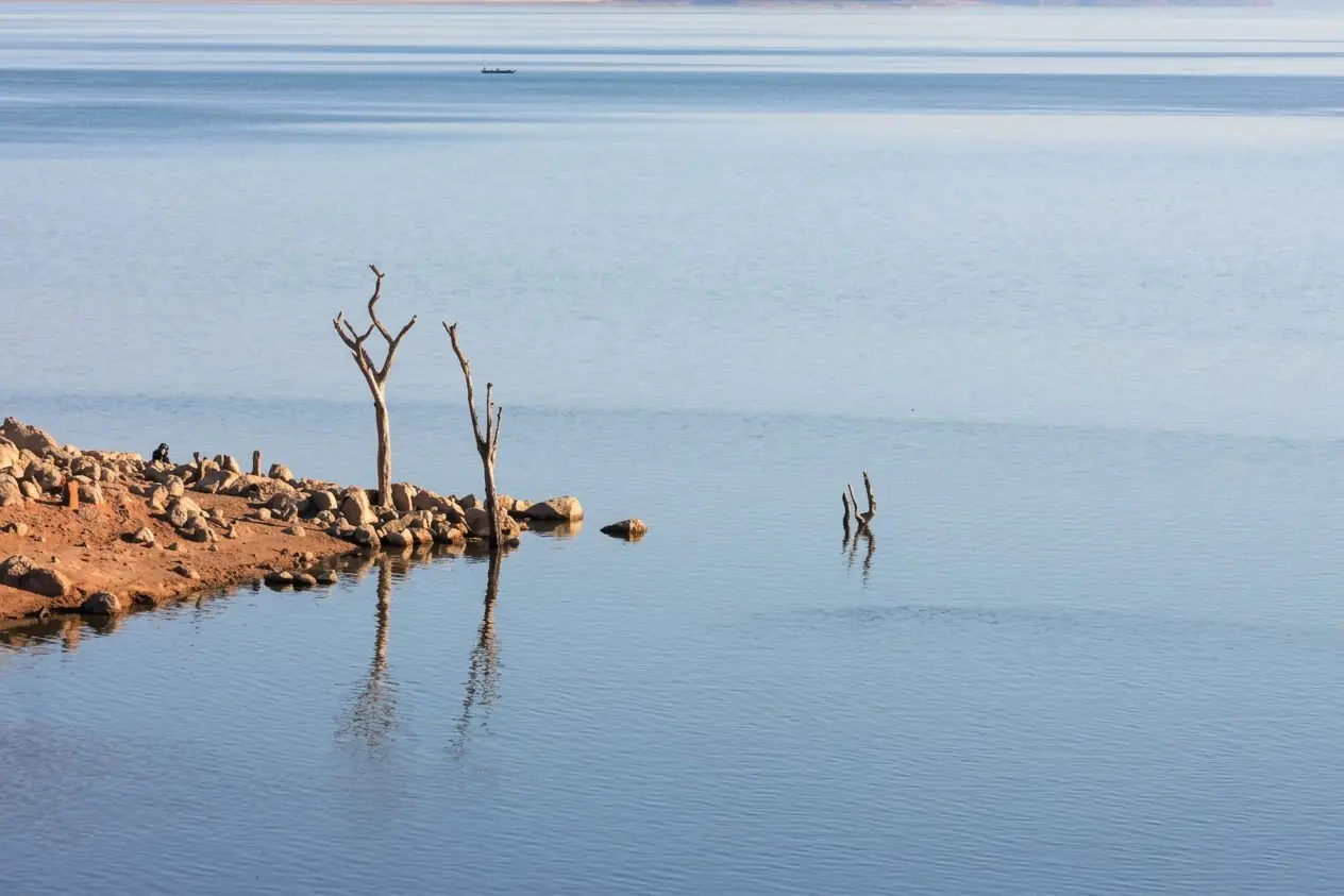 Calm water and standing dead trees on the shore of Lake Kariba