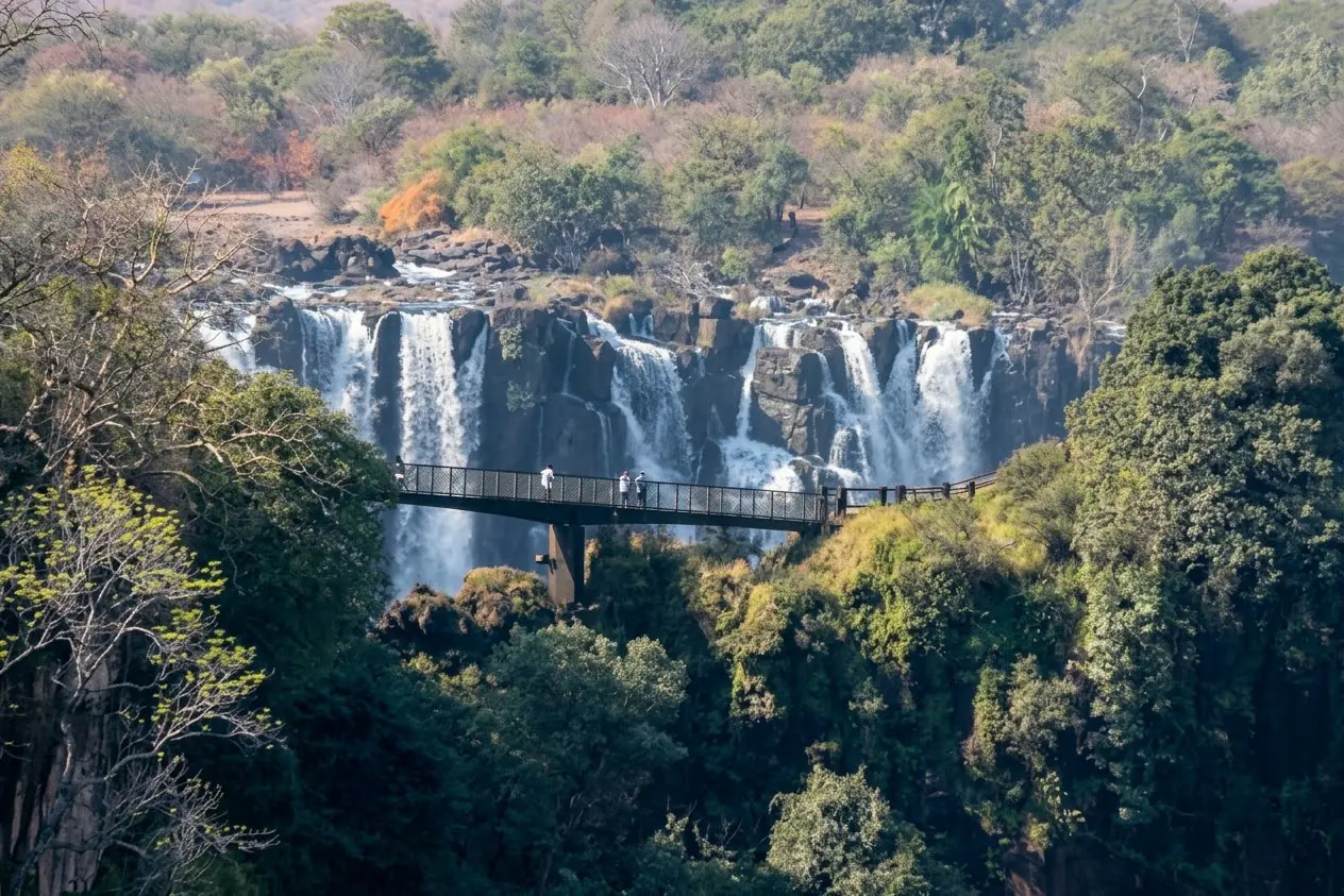 Victoria Falls framed by green forest with a footbridge across the gorge