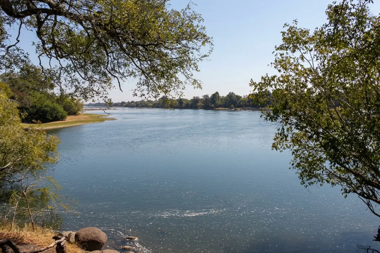 Wide calm river framed by overhanging trees